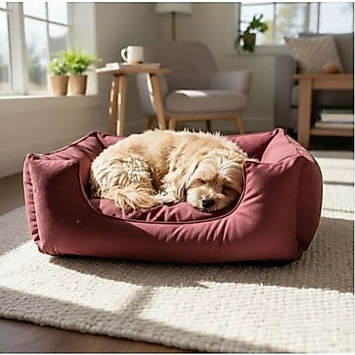 Caminha Pet Cachorro e Gato Premium em Suede  Com Almofada Removível e Zíper P M G