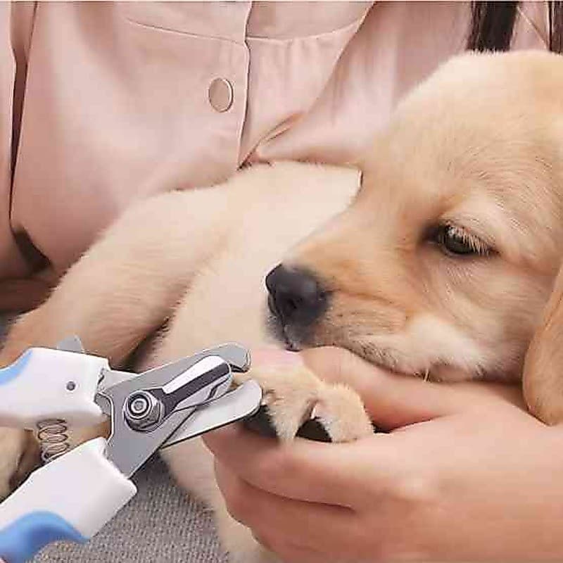 Alicate Cortador de Unhas para Cães e Gatos com Trava de Segurança e Sistema de Mola