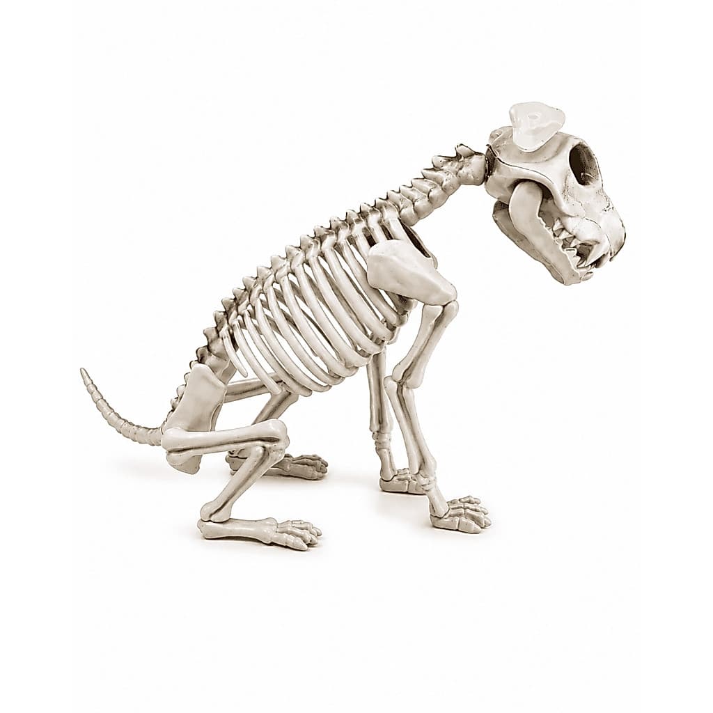 Enfeite Esqueleto de Cachorro 39cm Halloween Decoração Terror Plástico