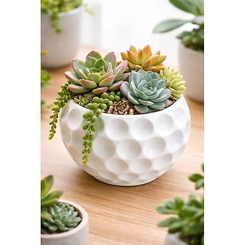 Vaso Decorativo Moderno Texturizado – Design Sofisticado e Elegante