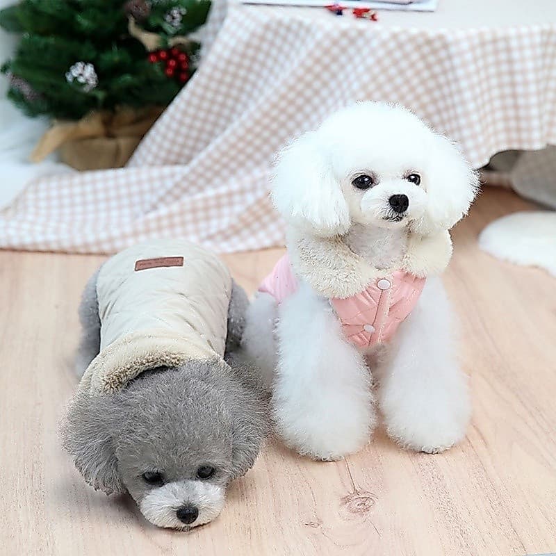 Roupa de Inverno para Animais de Estimação, Casaco Quente para Cães e Gatos Chihuahua, com Gola de Pelo, Casaco para Fil