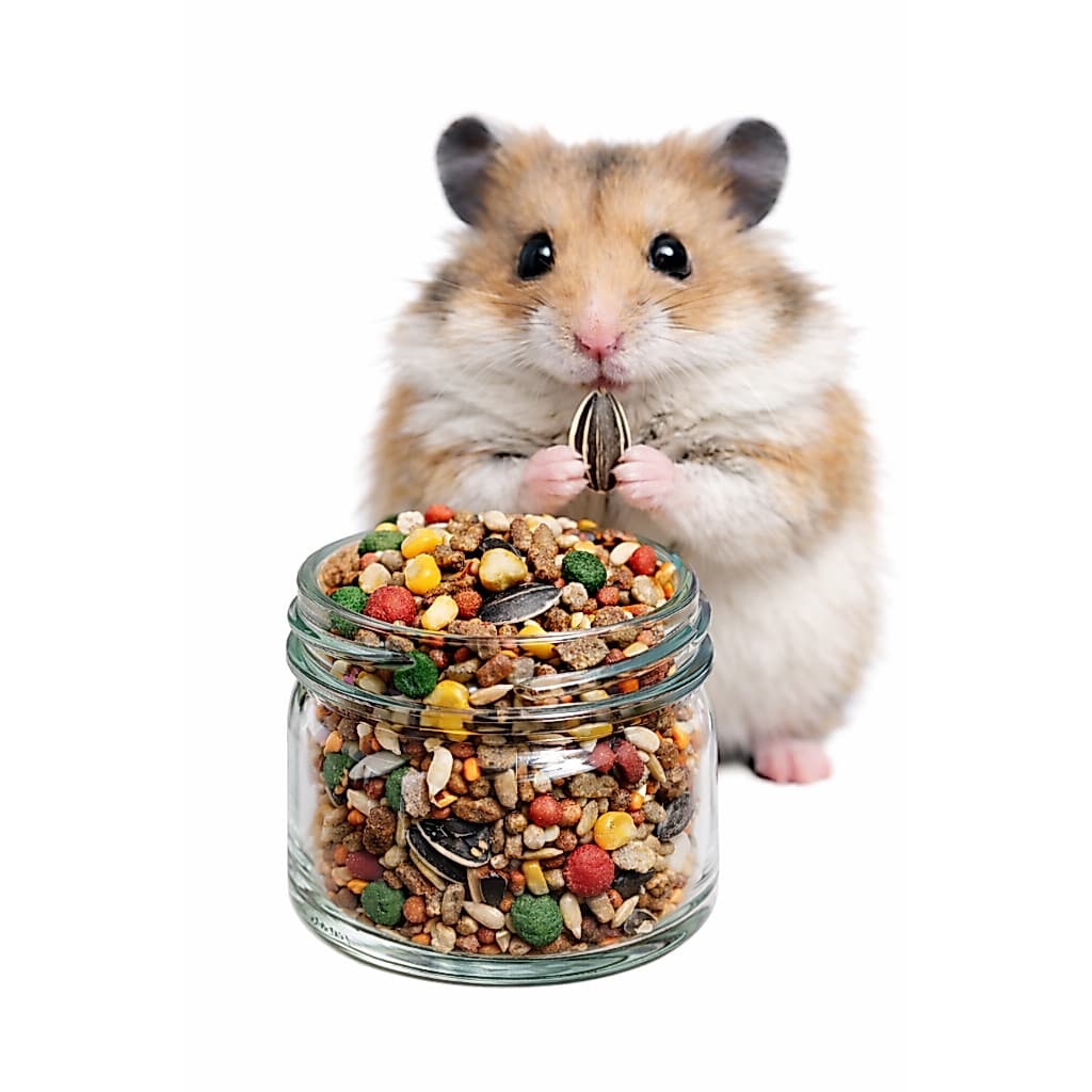 Ração Mistura Para Hamster e Roedores (Criadores) - 1 Kg