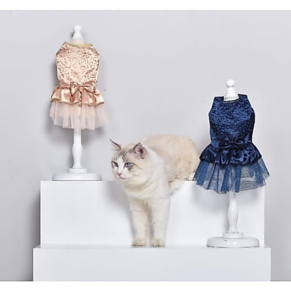 Roupa pet Vestido  Tule para animais de estimação Pet Princesa Noiva,, luxo, fêmea, puppy, brilho,  roupa verão primavera para cachorro e gato