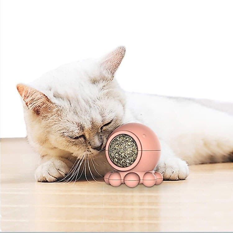 Brinquedos Para gatos Interativo Polvo(com e Erva Catnip Gato)Lambe Bola de brinquedo Limpa Dente
