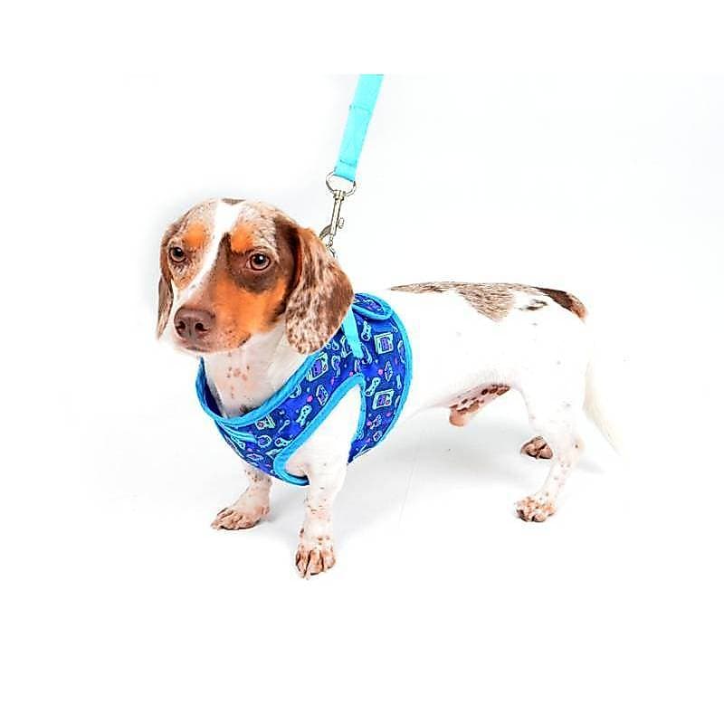 Peitoral para Cachorro Games Emporium Distripet | Peitoral Pet para Passeio, Caminhada e Controle do Cão