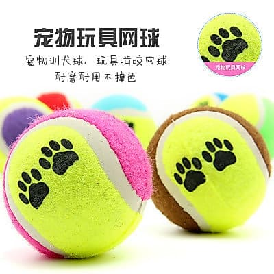 Bola de brinquedo para cachorro, resistente à mordida, Golden Retriever, pelúcia, Samoyed, Molar, gato, filhote de cacho