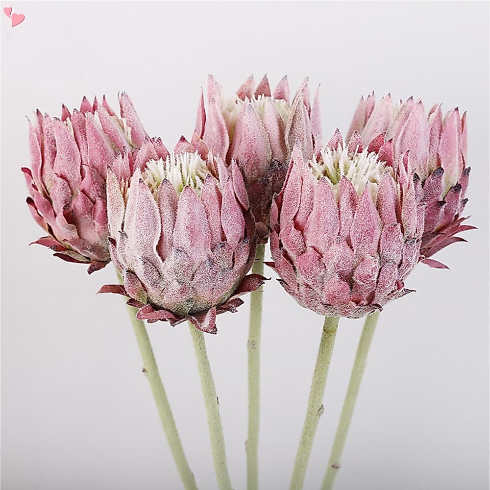 Flores Artificiais De Protea King – Arranjos Florais Tropicais Realistas Para Peça Central De Casamento E Decoração De C