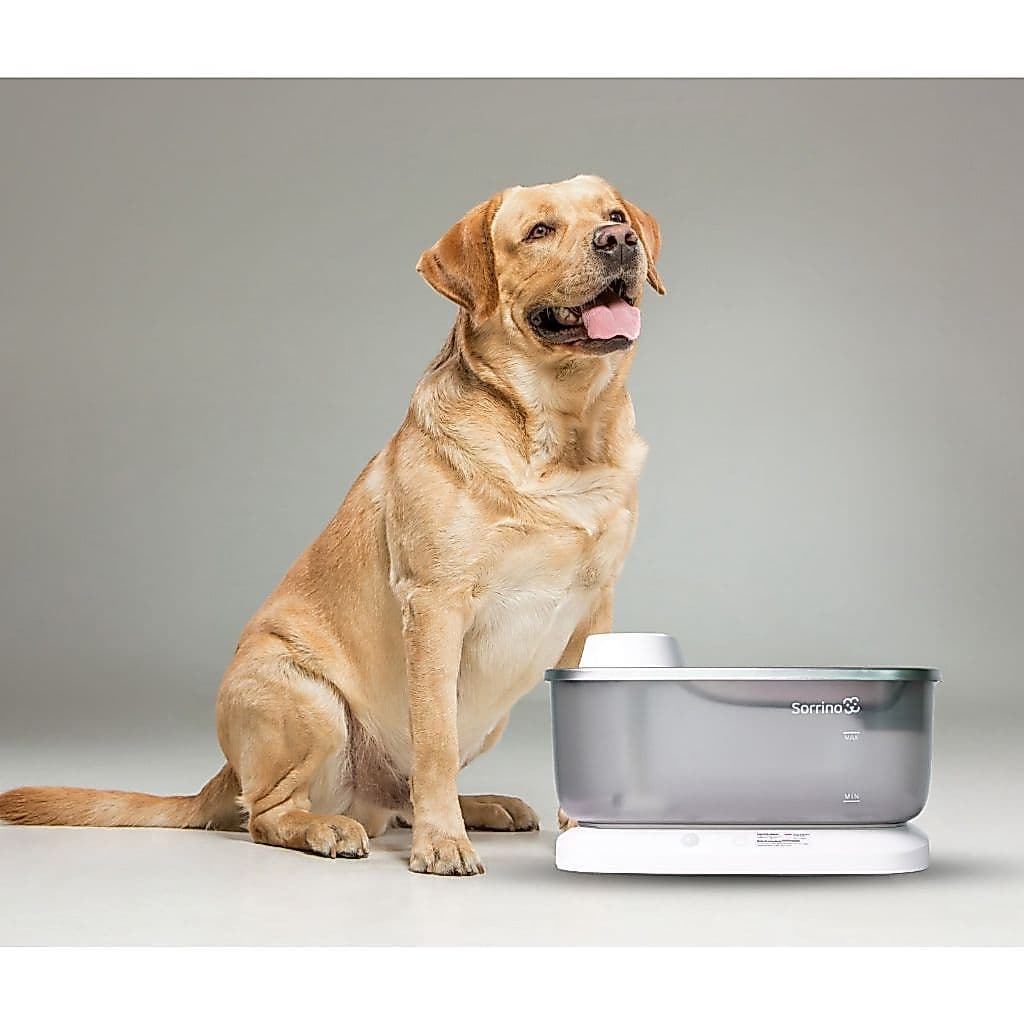 Bebedouro Extra Grande 7 Litros de Água Sensor Automático  Elevado Para Gatos e Cães