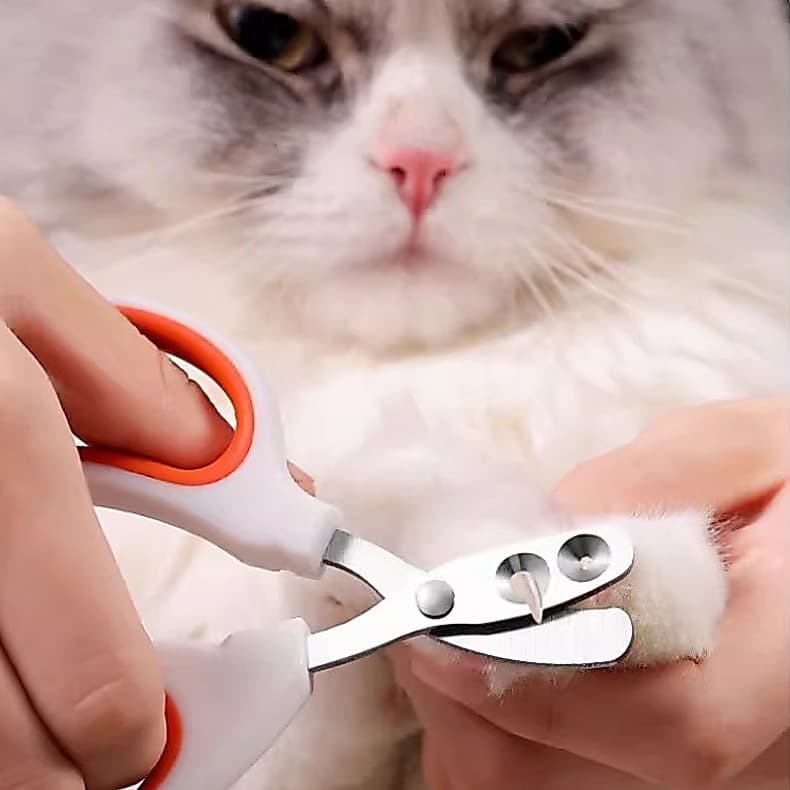 ortador De Unhas Alicate Com Furo Para Gato Corte Preciso Evita Sangramento Aço Inoxidável Tesoura LR-0217
