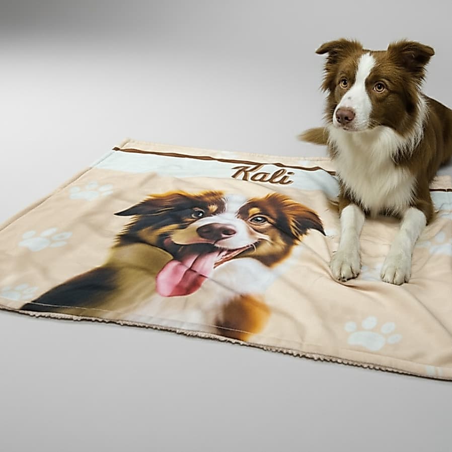 Manta Cobertor Pet Personalizada Com Foto E Nome Mantinha Grande Cachorro Gato Cobertinha Animais 90X70