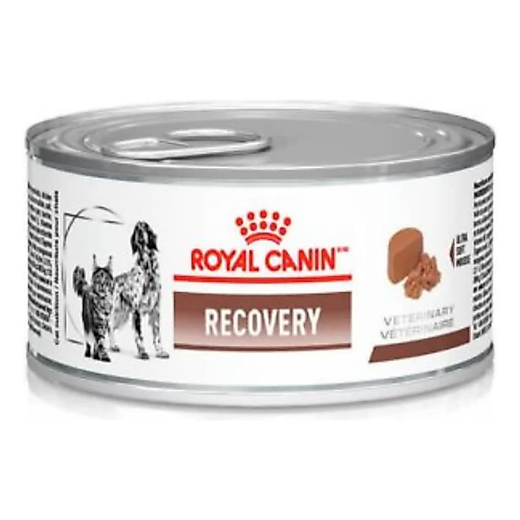 Ração Umida Royal Canin Recovery Lata Cães Gatos 195g