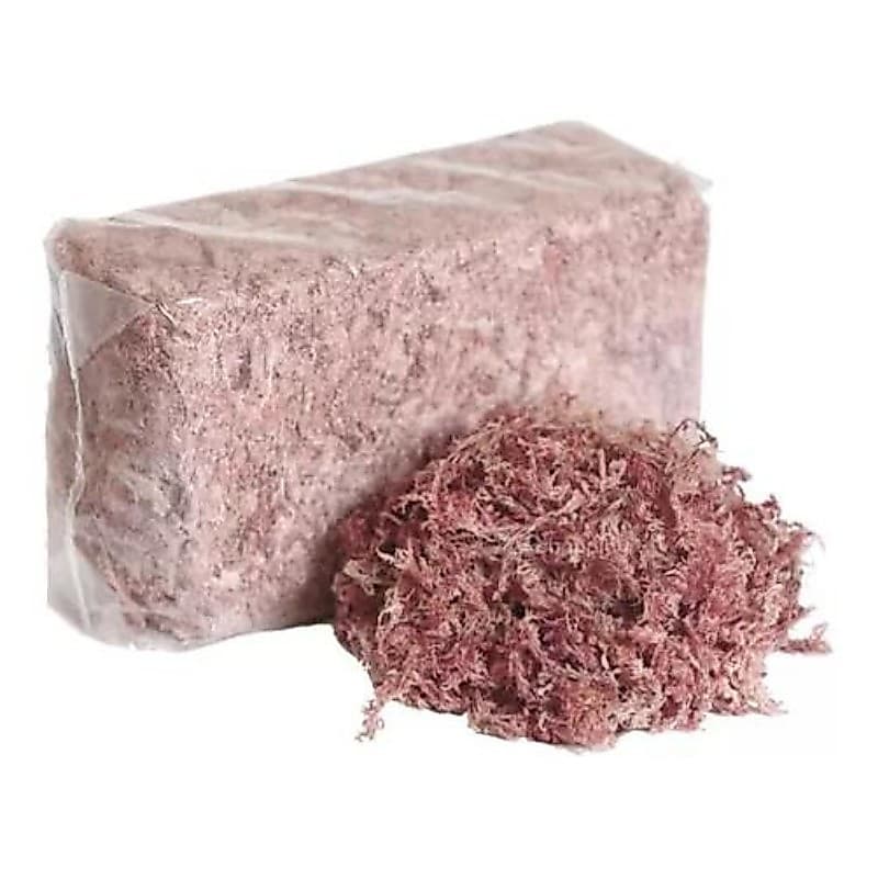 Musgo Sphagnum Sfagnum Esfagno Rosa Para Orquídeas Decoração Artesanato