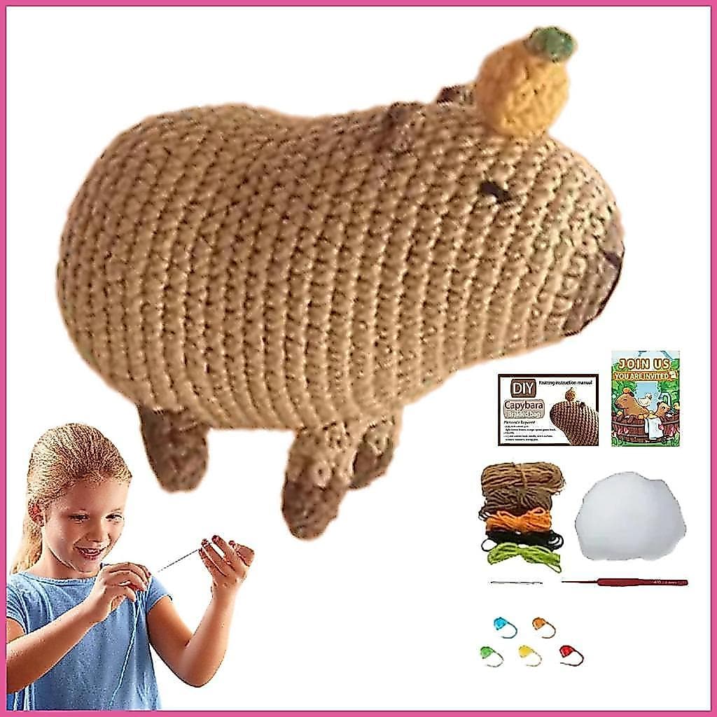 Kit De Crochê Para Iniciantes Animal Conjunto De Acessórios De Tricô Crianças Completo openalbr