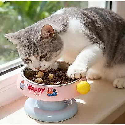 Comedouro Tigela Bebedouro Pet Elevado Alto com Inox Cães e Gatos 300ml