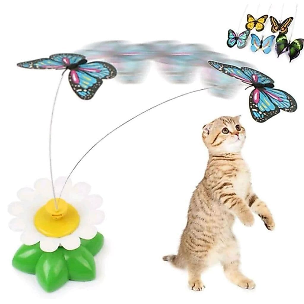 Brinquedo - Elétrico - Rotativa - Borboleta - Rod Teaser Jogo - Gatinho - Brinquedos Do Gato