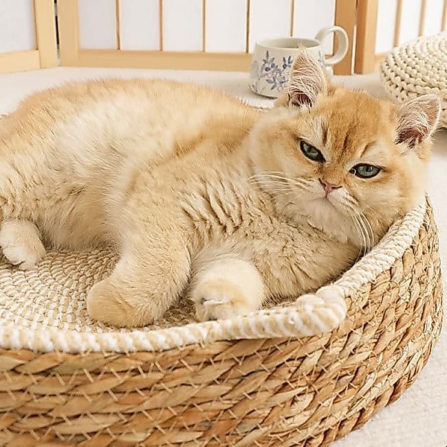 Ninho de rattan para gatos e cães, tábua de arranhar para gatos de verão, durável, feito de taboa e corda de algodão