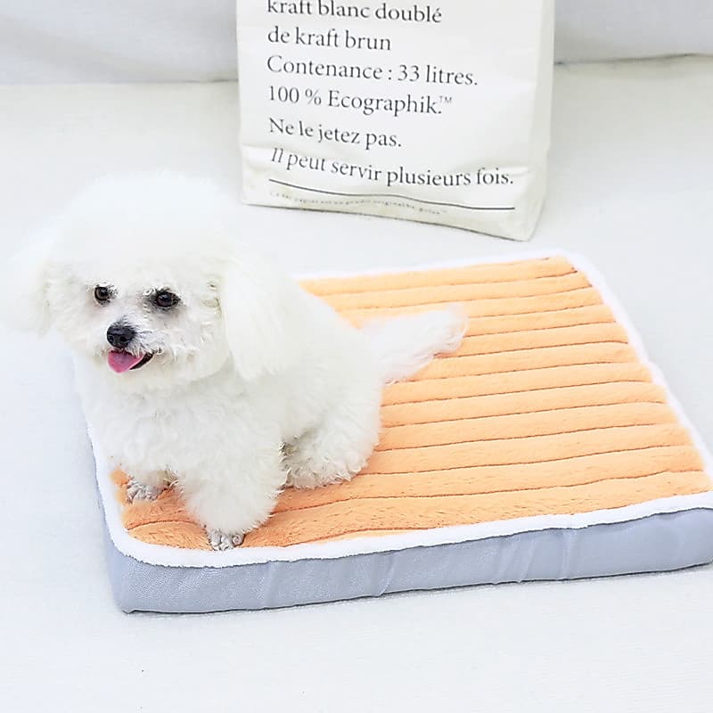 Canil quatro estações Universal quente algodão lã Pet cama esponja almofada gaiola pequeno médio grande cão suprimentos