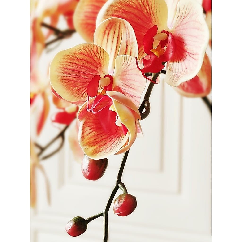 Hejia simulação flor falsa cola sentir Phalaenopsis único estudo mesa de café decoração vaso arranjo flor decorações flo
