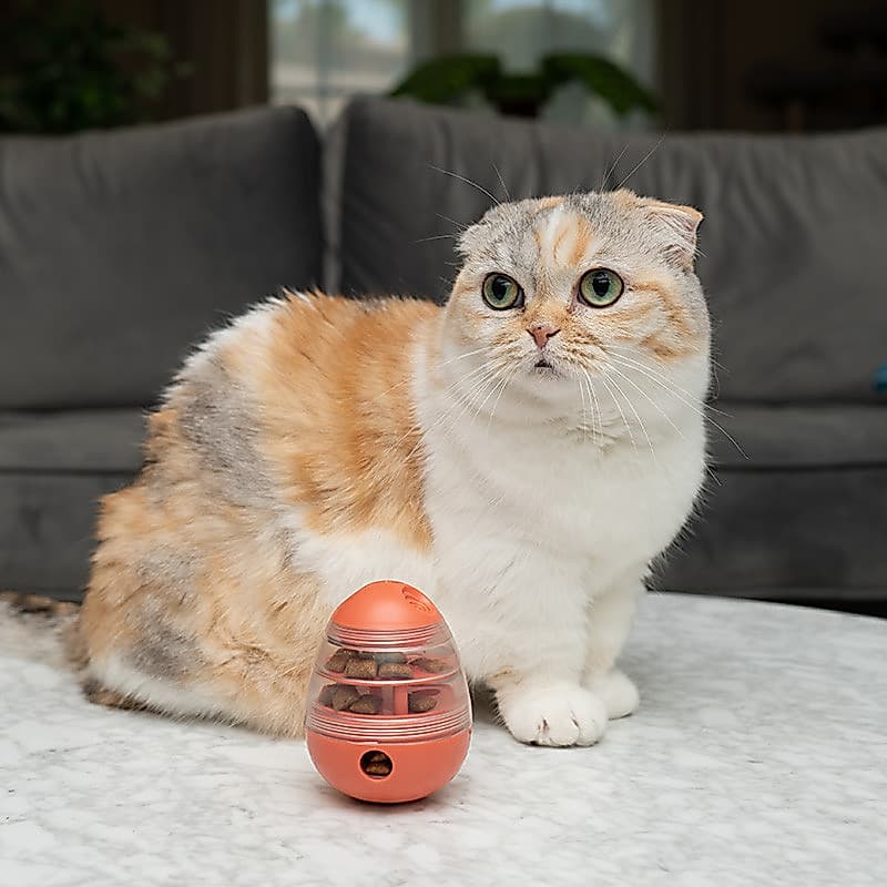 CAITEC Brinquedos para gatos Brinquedos para gatos Copo de comida com vazamento Suprimentos para gatos Recipiente de com