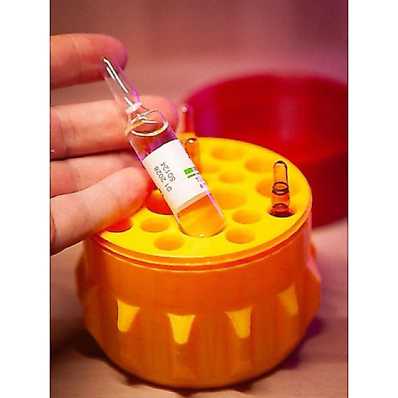 Porta Ampolas Organizador 3D 20 Lugares 1ml 2ml 5ml 10ml Estética Farmácia Laboratório