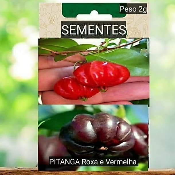Pitanga 2 variedades de Sementes VERMELHA e ROXA plante vaso Jardim decoração OFERTA