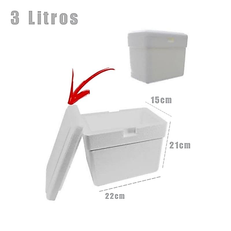 5 caixa térmica de isopor 3L/KG para sorvetes gelinho bolos perecíveis vacinas - ISOTERM