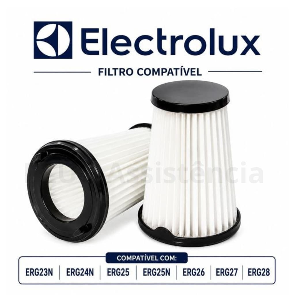 Kit 2 Filtros Aspirador Ergorapido Erg26/27 Erg25b Erg25N Erg24N Erg23n Electrolux FEE20