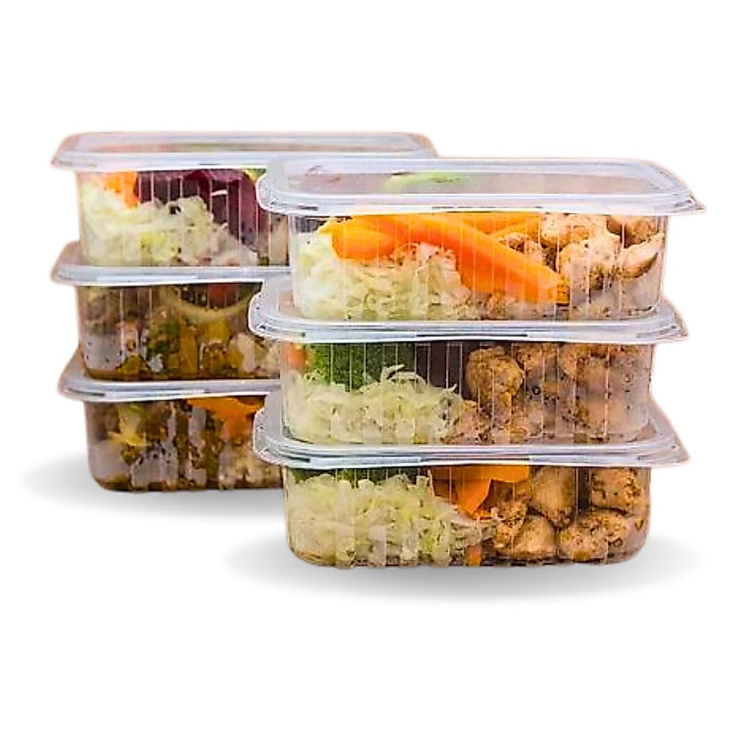 24 Potes Marmita Fit 250ml Prafesta Retangular - Freezer e Micro-ondas
