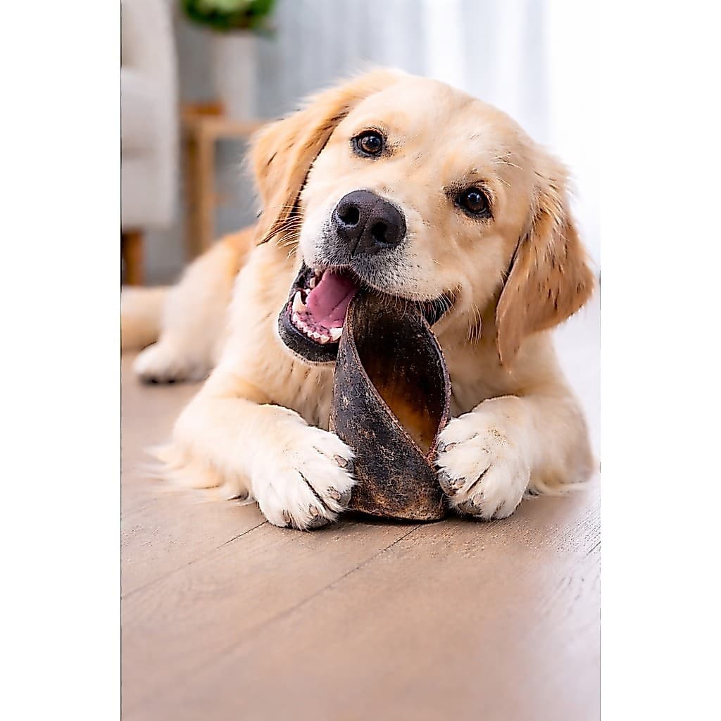 Casco Bovino Natural Para Cachorro Petisco Cães Até 5un