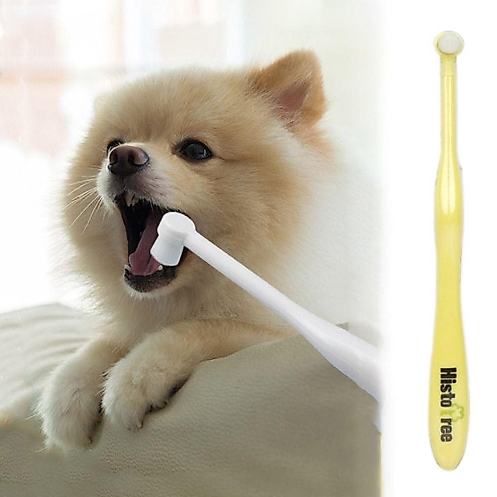 Escova De Dentes Para Animais De Estimação De Cabeça Redonda , Macia De Plástico/PBT De Limpeza Oral