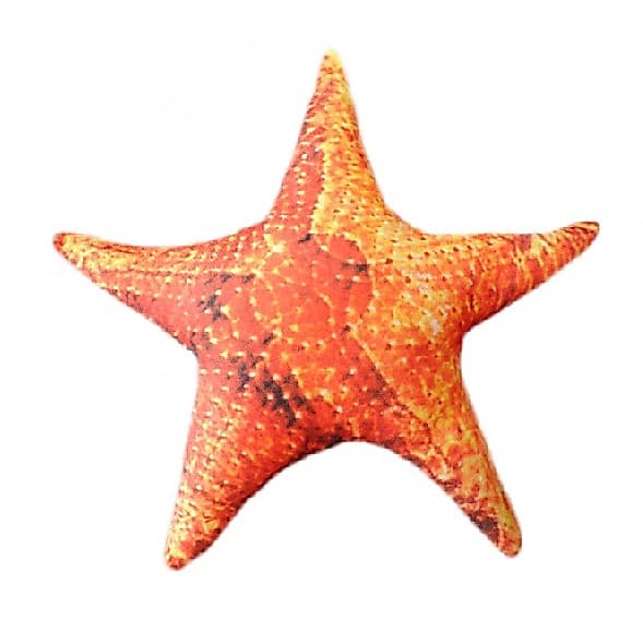 Estrela Do Mar De Pelúcia Laranja 18 Cm Antialérgica Unissex