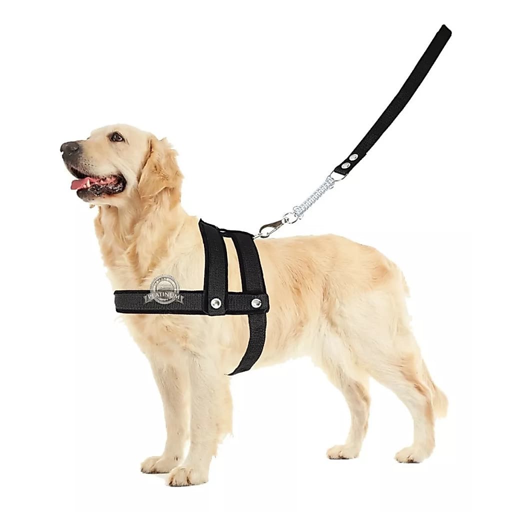 Coleira peitoral para cachorros de medio grande porte pet resistente dog reforçada varias cores