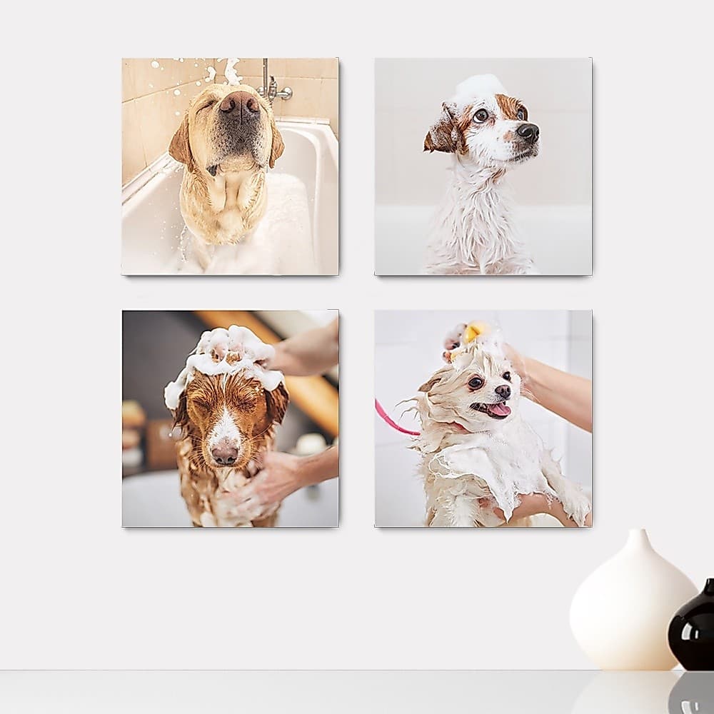 Kit 4 Quadros Decorativos Pet Shop Veterinário Cachorros Gatos Placas - 0011ktpl4