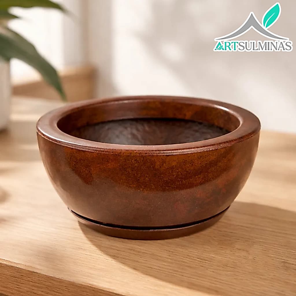 Vaso bacia cuia bowl decoração para plantas e flores arranjos cactos e suculentas rosa do deserto