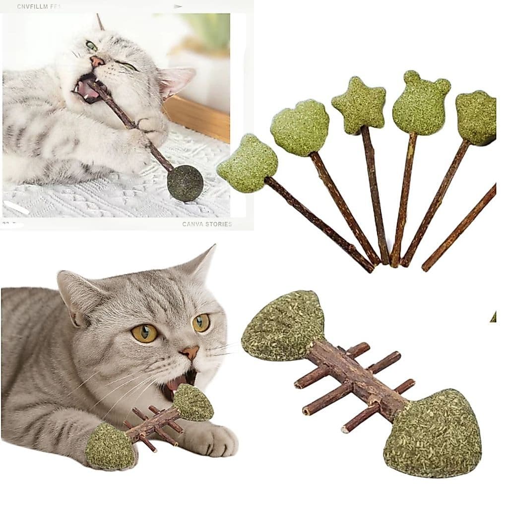 Brinquedo de Gato Catnip Matatabi Pirulito Peixinho Ratinho - Limpa os Dentes
