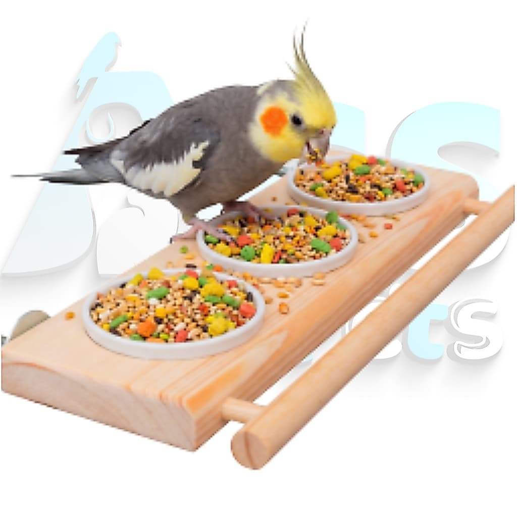 Comedouro Luxo Triplo Para Calopsita Periquito Canario e Outras Aves