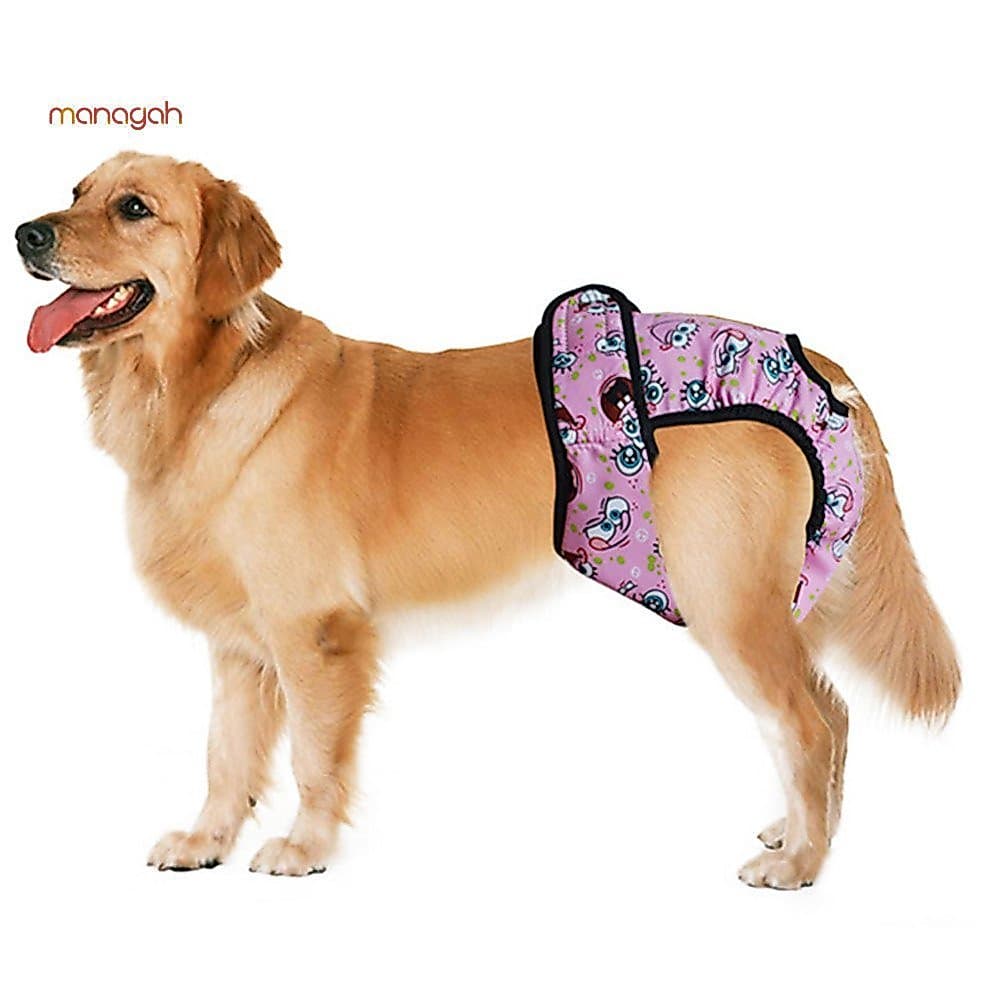 Fralda Fofa De Desenho Animado Para Cachorro Feminino , Calça Fisiológica Sanitária Lavável , Roupa Íntima