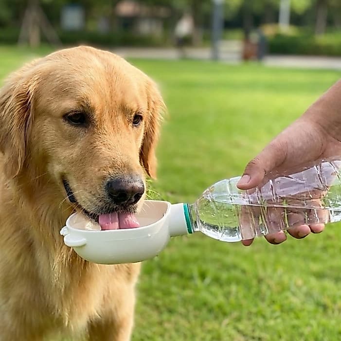 Bebedouro Portátil para Pets com Rosca Universal | Anti Vazamento | Compatível com Garrafa PET