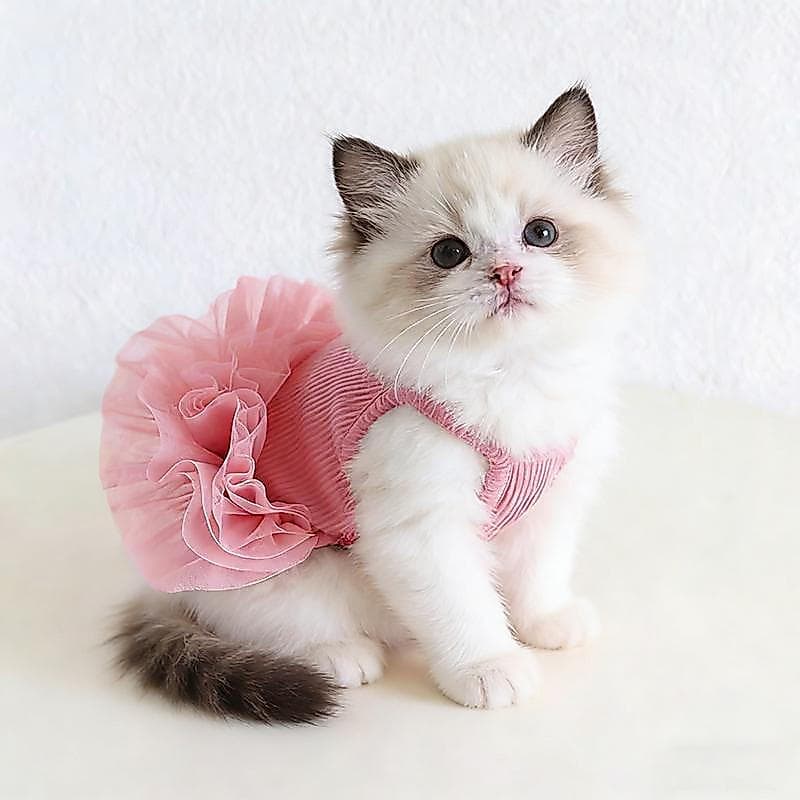 Roupas para animais de estimação para primavera e verão, frescas e respiráveis para o verão, saia de gaze fofa, vestido.
