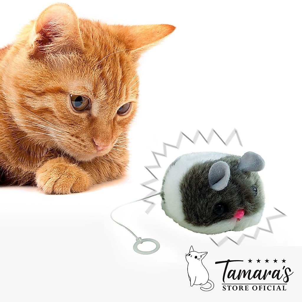 Brinquedo de gato Ratinho de Corda Com Vibração - Brinquedo Para Gatos