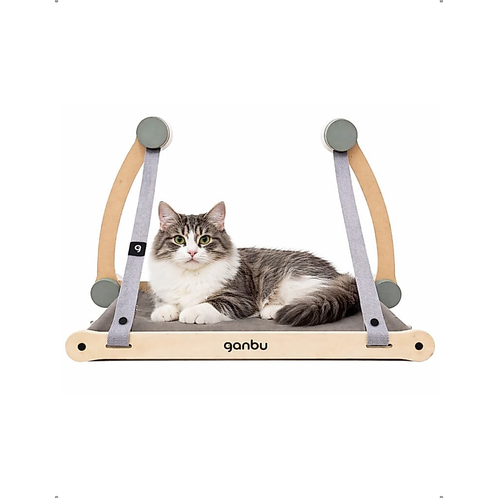 Cama Suspensa Para Vidro Gatos Premium Ganbu Confortável Janela Pet Descanso Relaxamento