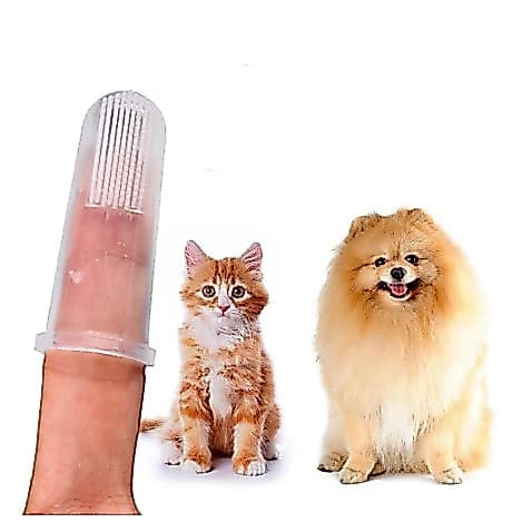 Escova de Dentes em Silicone para Pets Cães de Estimação Limpa Dentes do Gato Pronta Entrega
