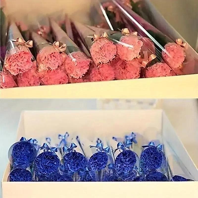 5 Pçs/Lote Suprimentos Do Dia Dos Namorados Banho Artificial Cravo Flor Festa Presente Das Mães Decoração