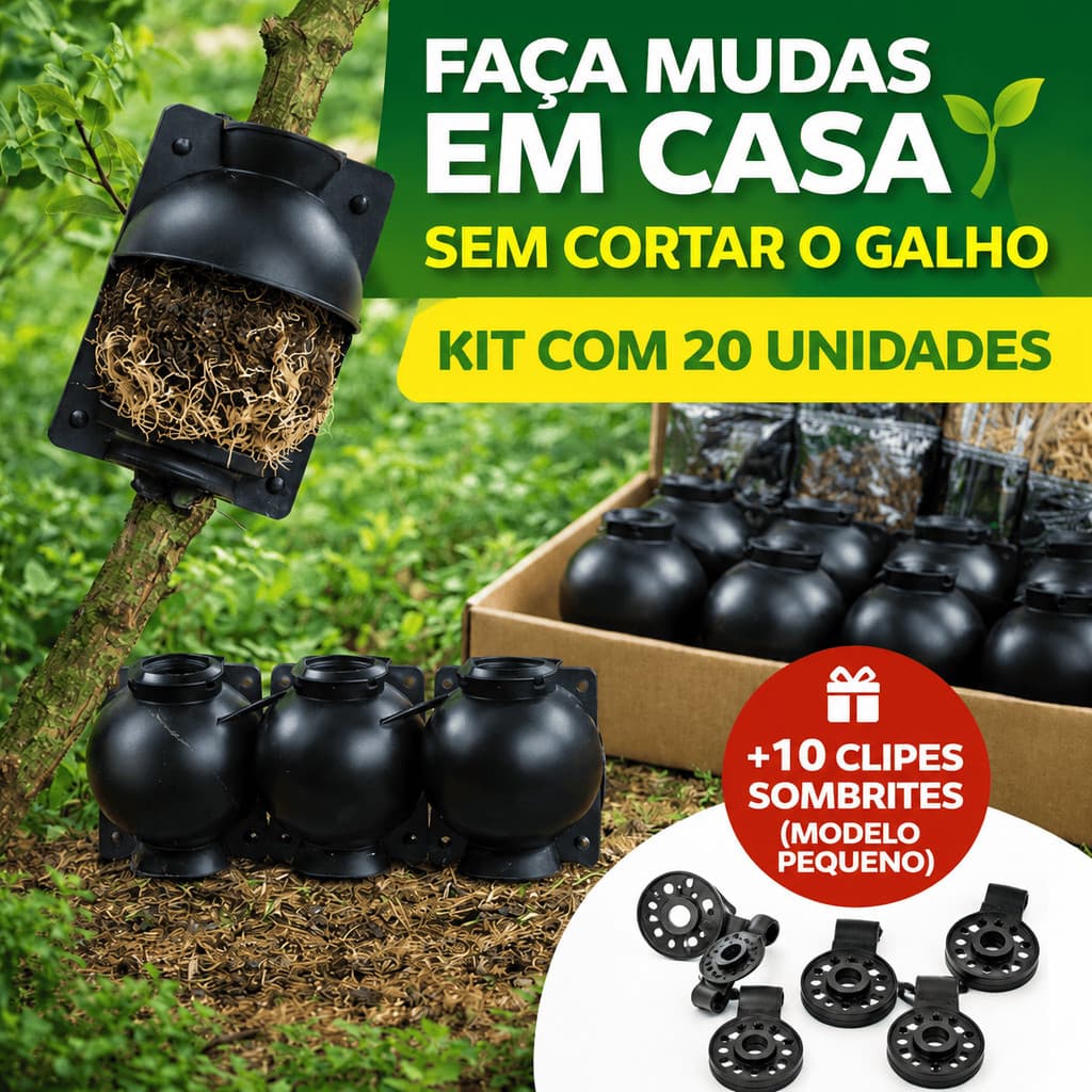 kit 20 Unidades Esfera enxertia Para Clonar Plantas Alporquia