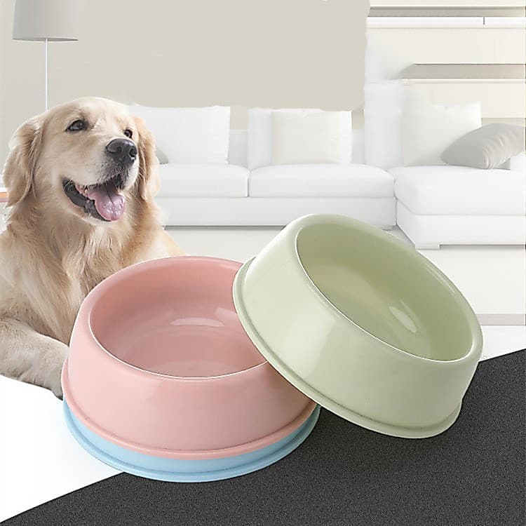 Suprimentos para animais de estimação: tigelas para cães pequenos, tigelas para gatos, tigelas para ração de gato, tigel