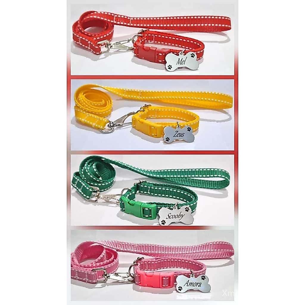 Coleira Para Cães ou Gatos com Guia + Plaquinha de Identificação Gravada