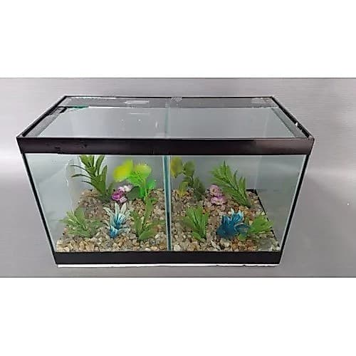 Aquário Mini Beteira Dupla 3,6lts - Decorado