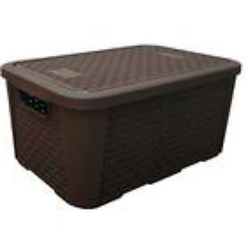 Caixa Organizadora 8,8 litros Rattan com Tampa N°2