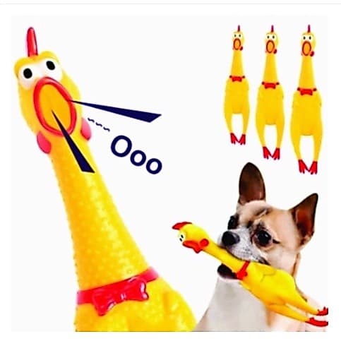 Mordedor Galinha Frango Borracha Cachorro Pet Faz Barulho / Brinquedos Cachorro c/ Apito