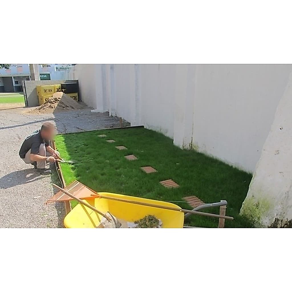 32 Mil Sementes Grama Bermuda Folha Fina  Para Jardim E Campo